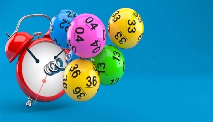 Chu kỳ lô gan bao nhiêu ngày?